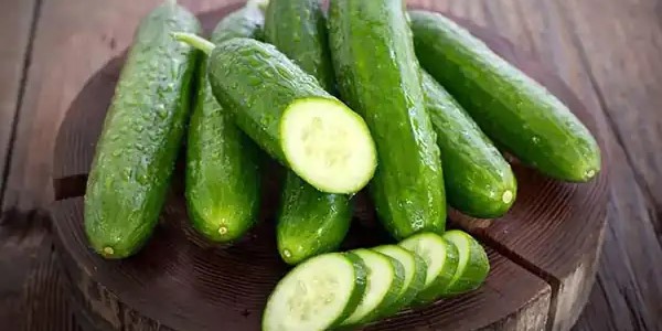 تصویر 4 از خرید و قیمت خیار سبز تازه + فروش صادراتی